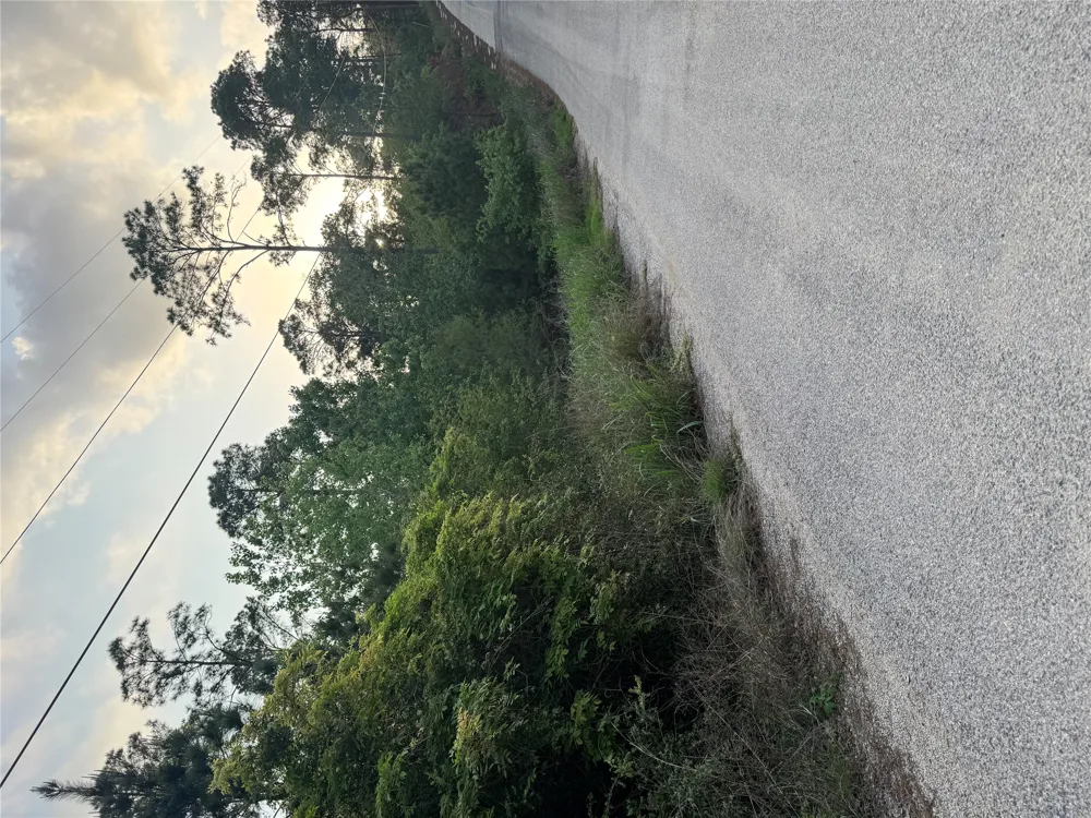 1386 Pahihi Drive Bastrop, TX 78602