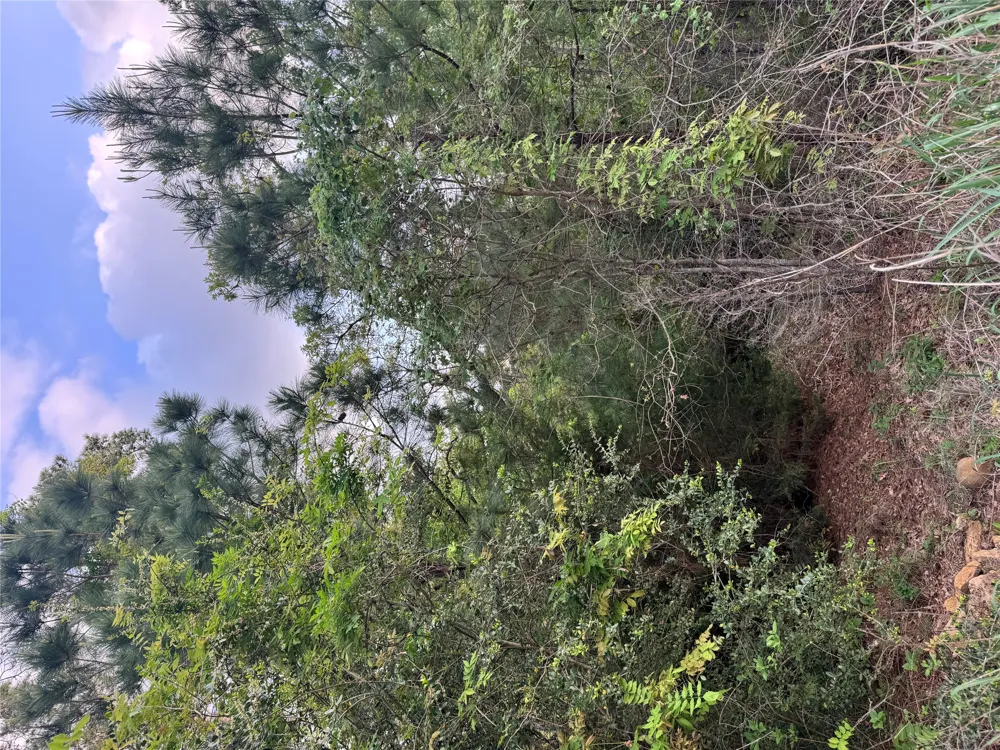1386 Pahihi Drive Bastrop, TX 78602
