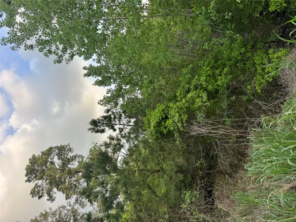 1386 Pahihi Drive Bastrop, TX 78602