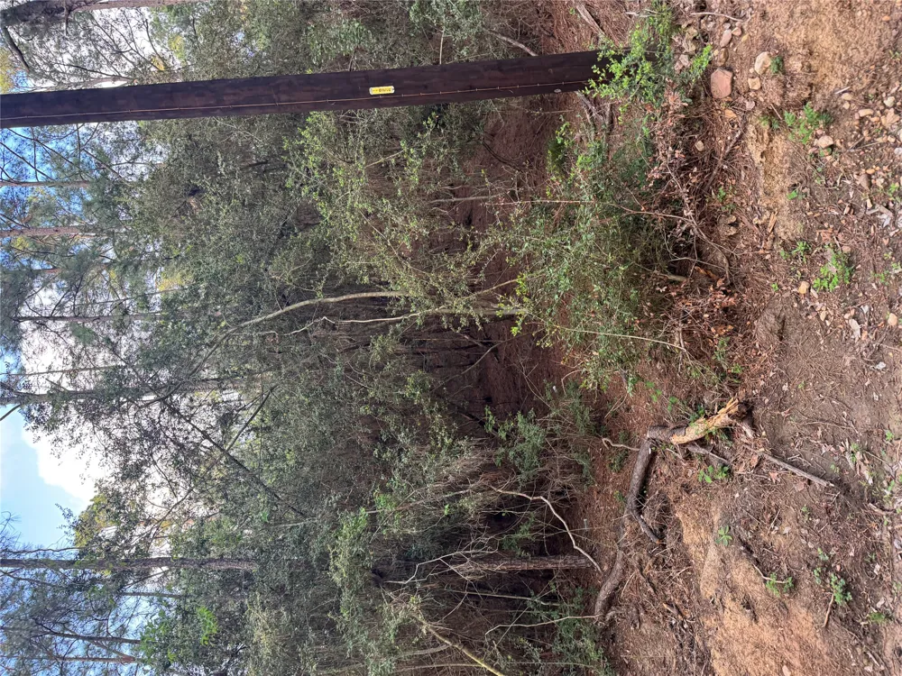 158 Hekili Drive Bastrop, TX 78602