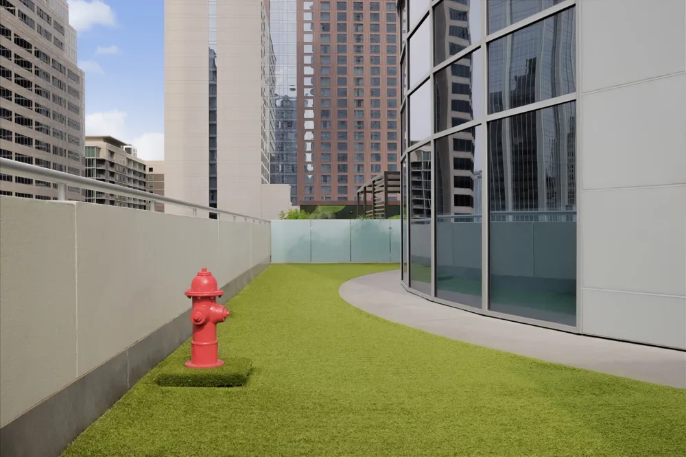 200 Congress Avenue #15E Austin, TX 78701