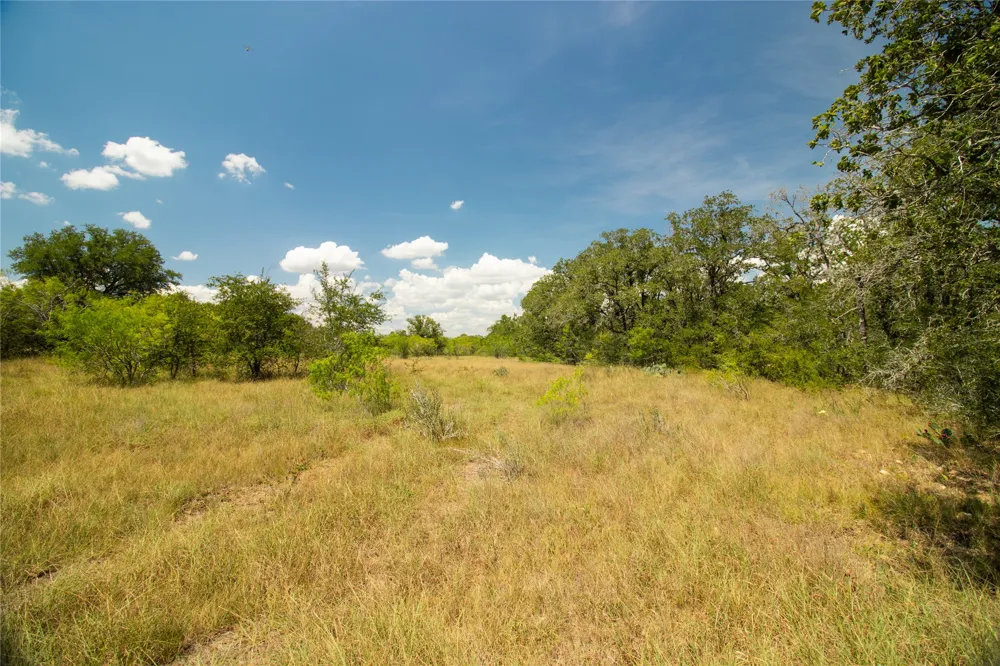 9421 Sycamore Shade Lane Kingsbury, TX 78638