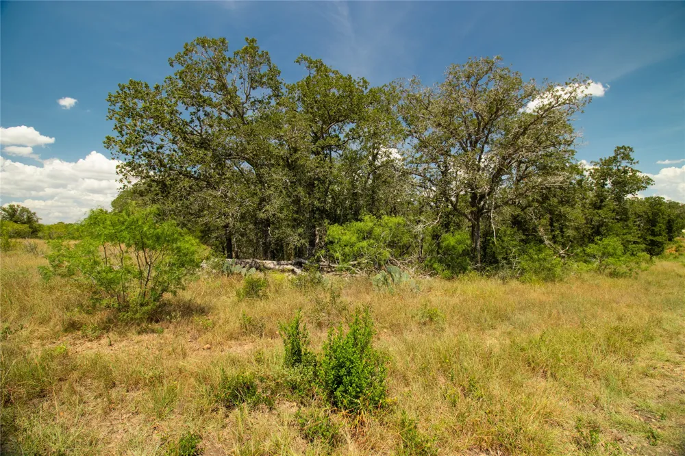 9421 Sycamore Shade Lane Kingsbury, TX 78638