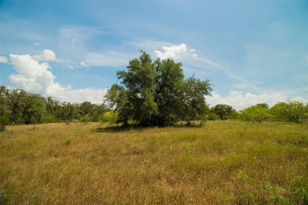 9421 Sycamore Shade Lane Kingsbury, TX 78638