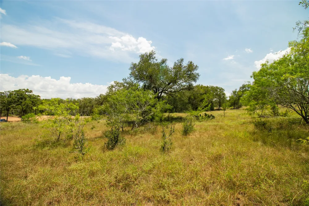 9421 Sycamore Shade Lane Kingsbury, TX 78638