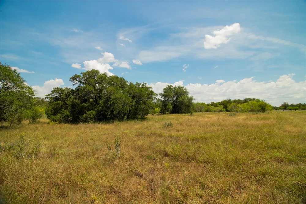 9421 Sycamore Shade Lane Kingsbury, TX 78638