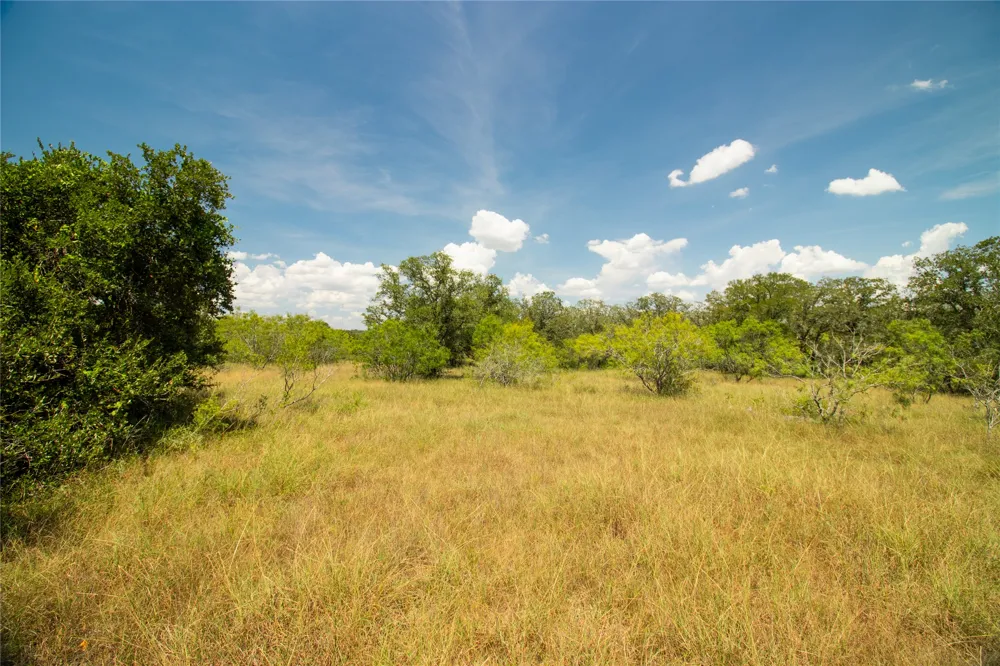 9421 Sycamore Shade Lane Kingsbury, TX 78638