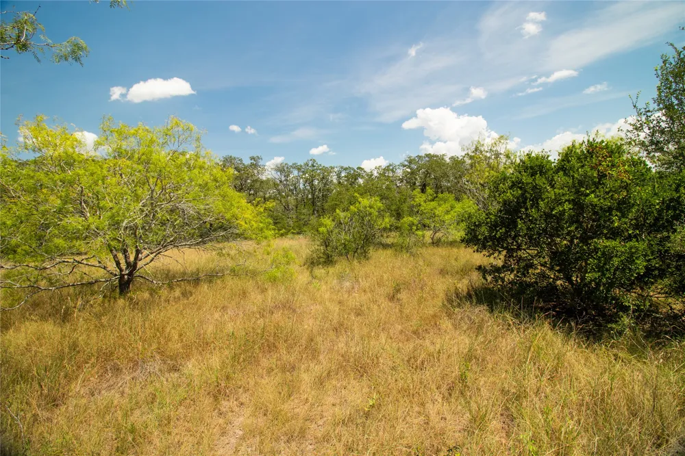 9421 Sycamore Shade Lane Kingsbury, TX 78638