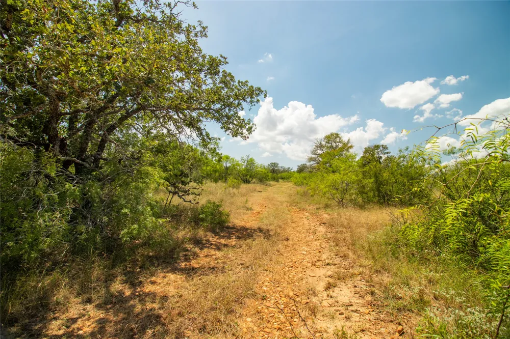 9421 Sycamore Shade Lane Kingsbury, TX 78638
