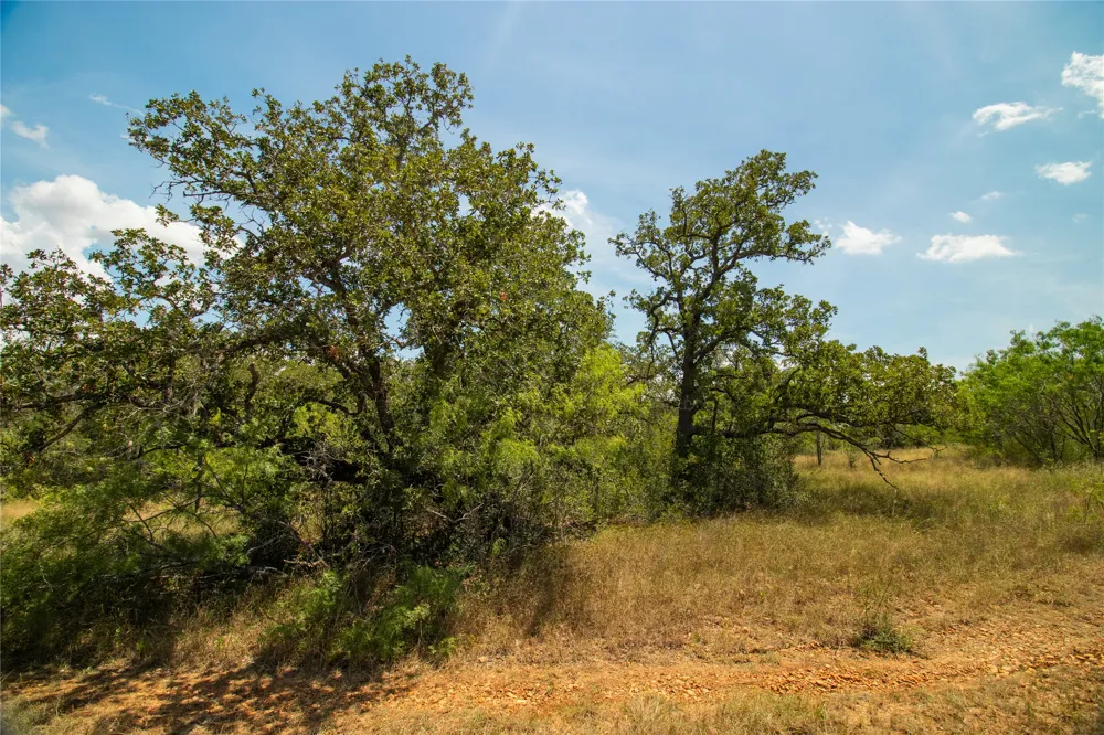 9421 Sycamore Shade Lane Kingsbury, TX 78638