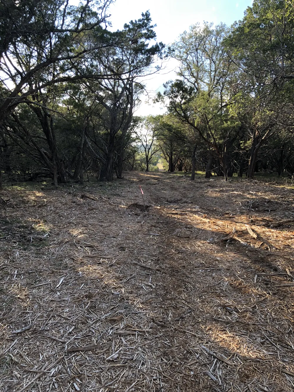 162 Addax Court Lampasas, TX 76550