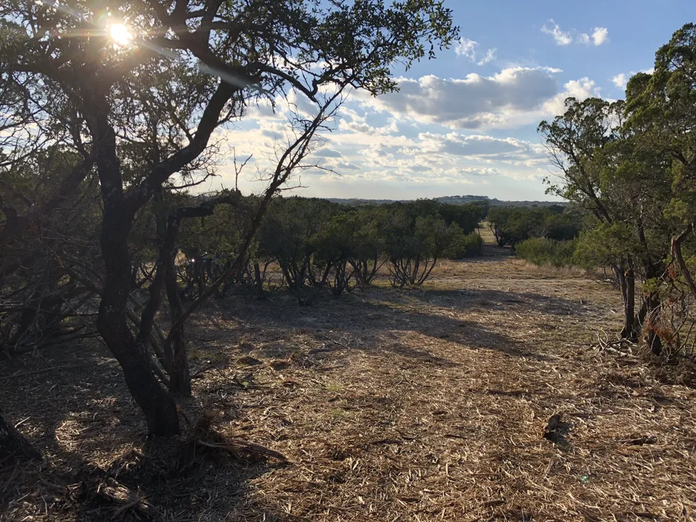 162 Addax Court Lampasas, TX 76550