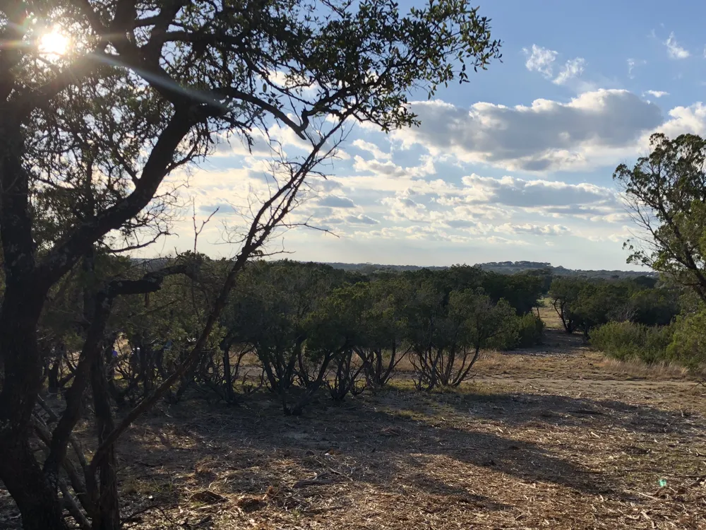 162 Addax Court Lampasas, TX 76550
