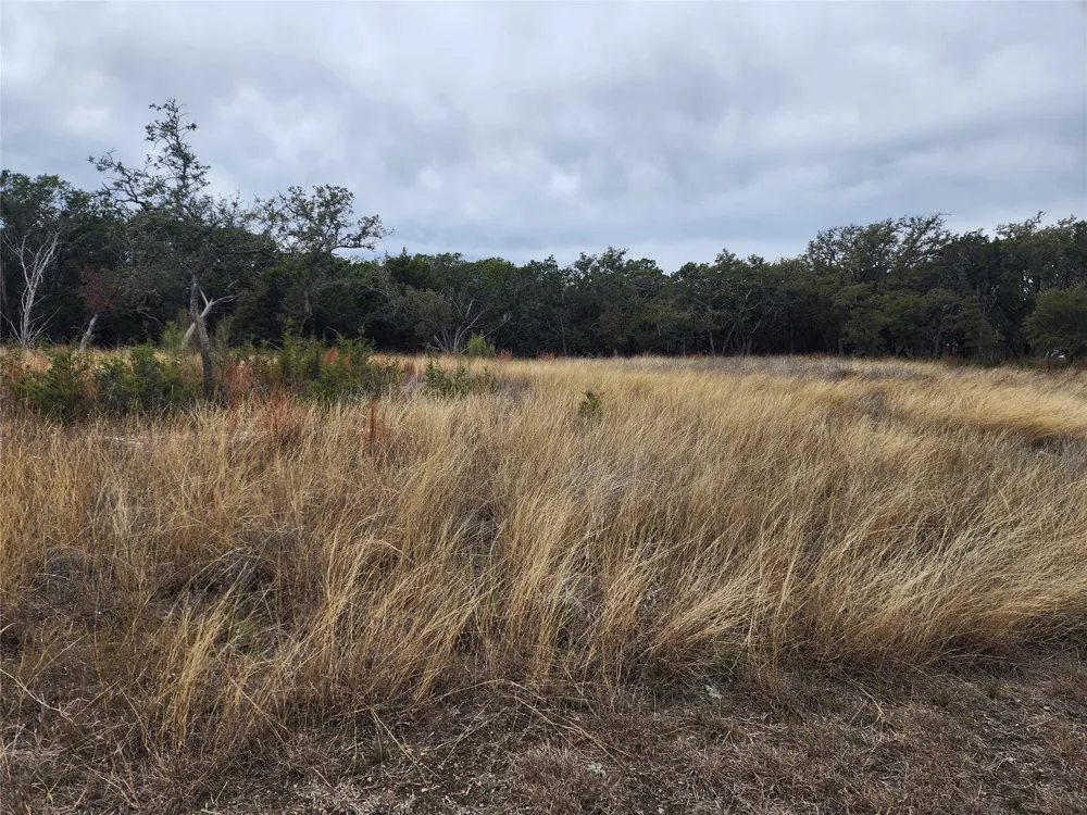 162 Addax Court Lampasas, TX 76550