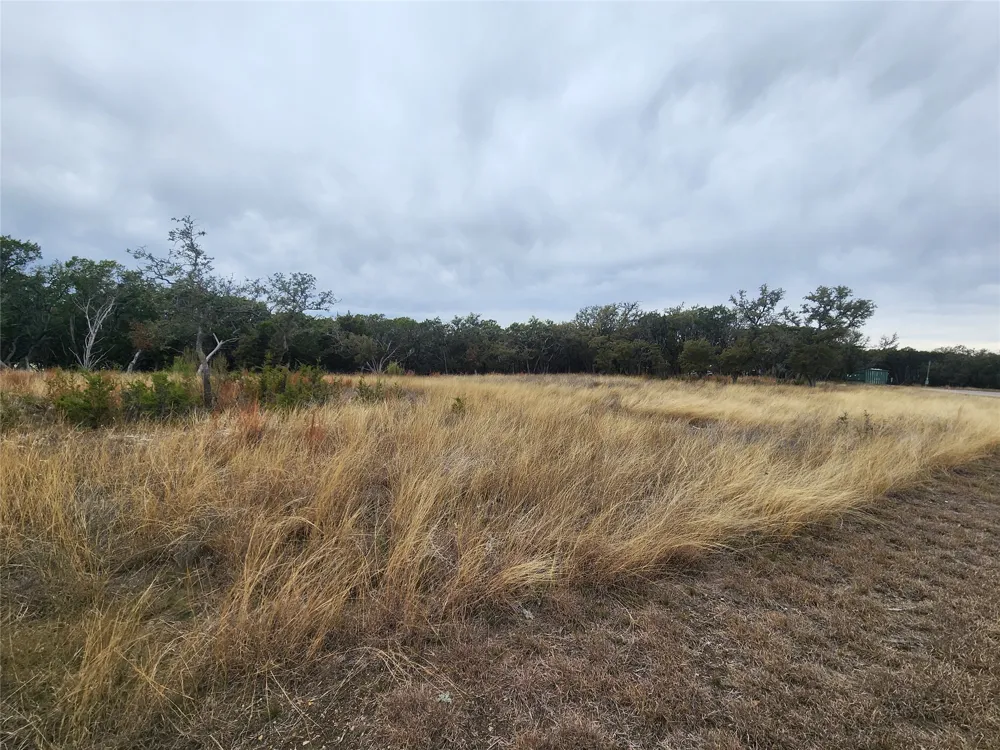 162 Addax Court Lampasas, TX 76550