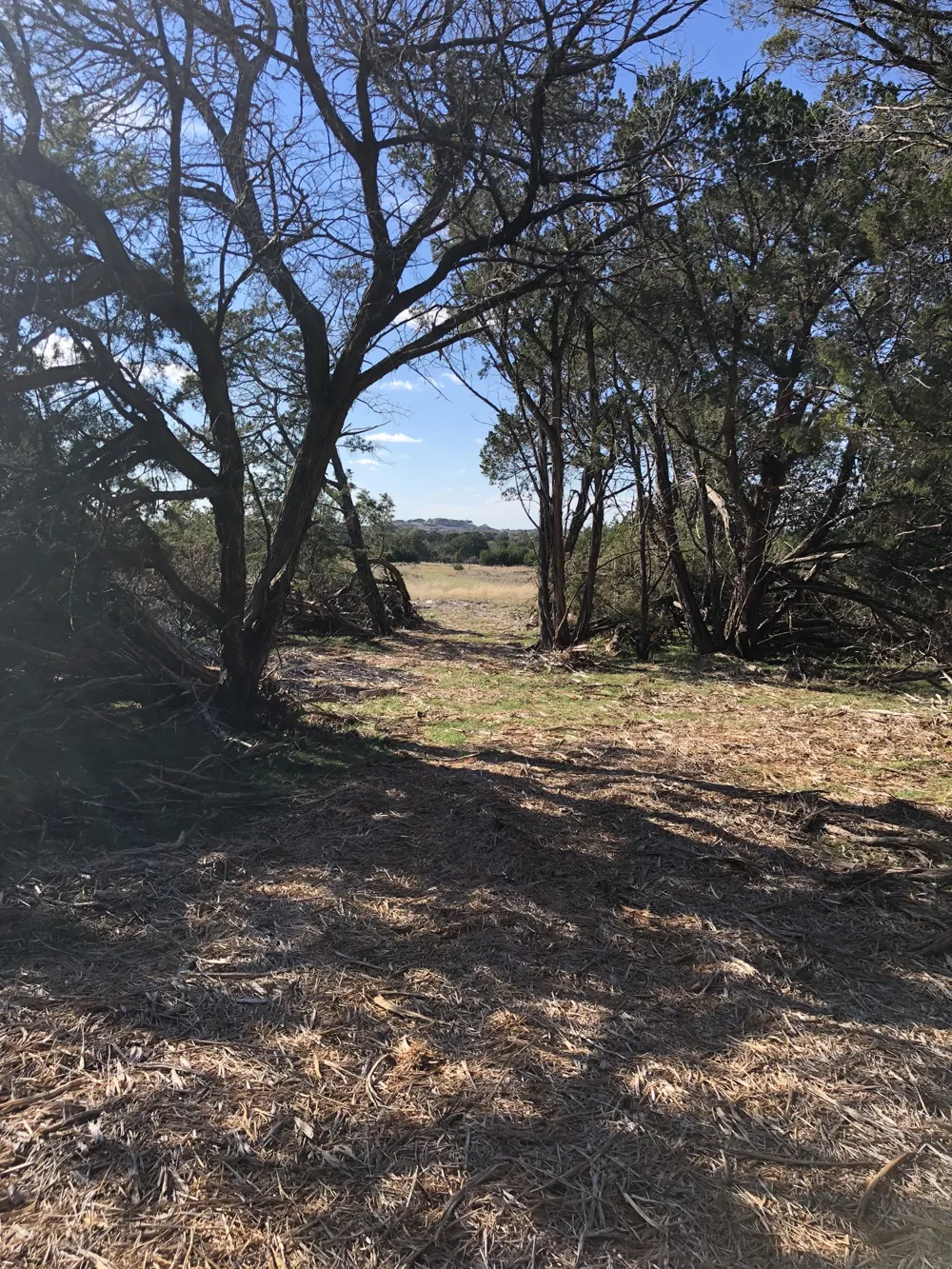 162 Addax Court Lampasas, TX 76550