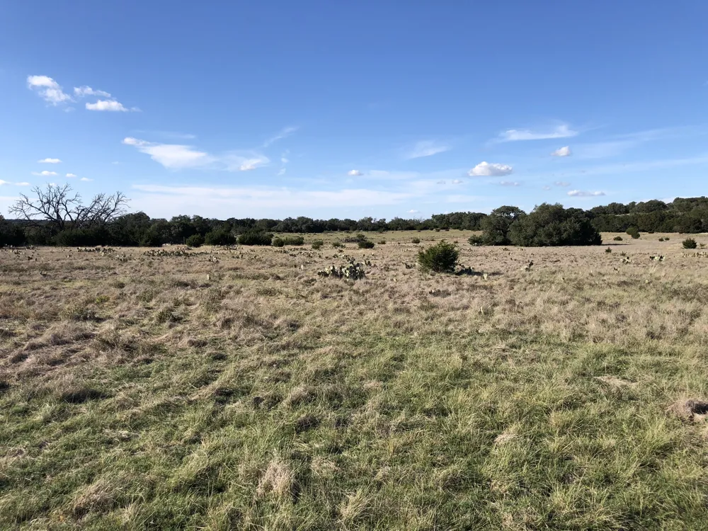 162 Addax Court Lampasas, TX 76550