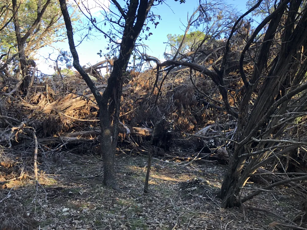 162 Addax Court Lampasas, TX 76550
