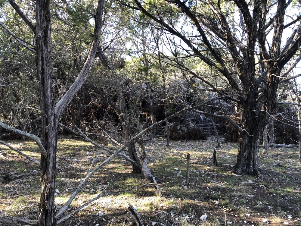 162 Addax Court Lampasas, TX 76550