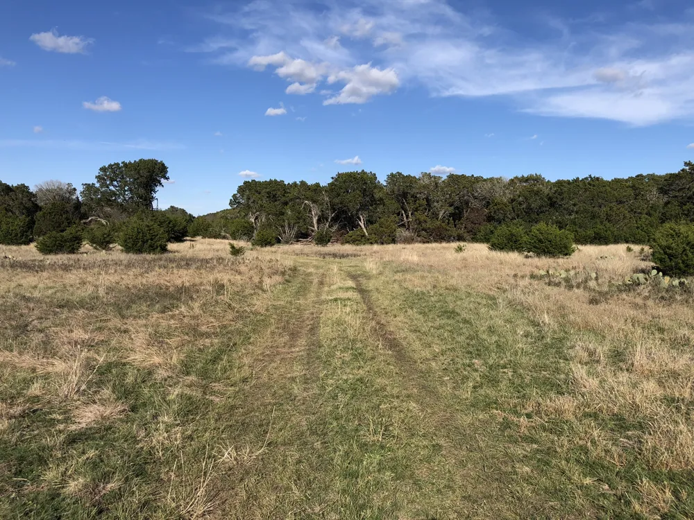 162 Addax Court Lampasas, TX 76550