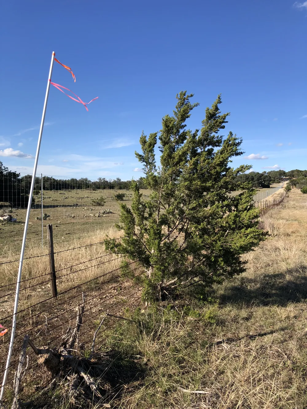 162 Addax Court Lampasas, TX 76550