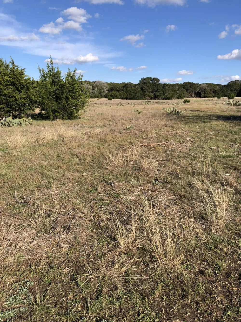 162 Addax Court Lampasas, TX 76550