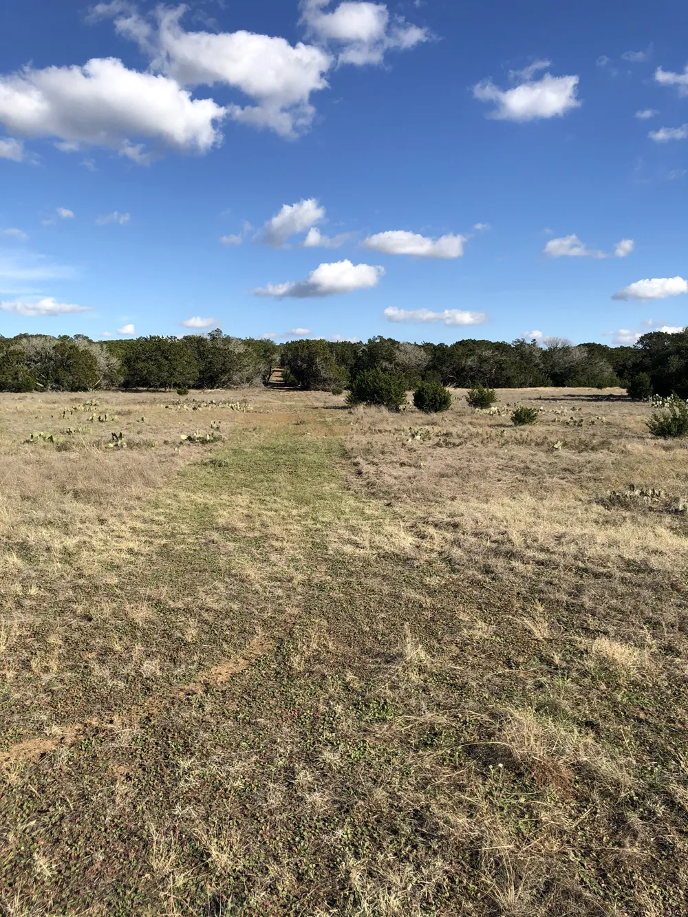162 Addax Court Lampasas, TX 76550