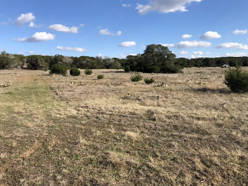 162 Addax Court Lampasas, TX 76550