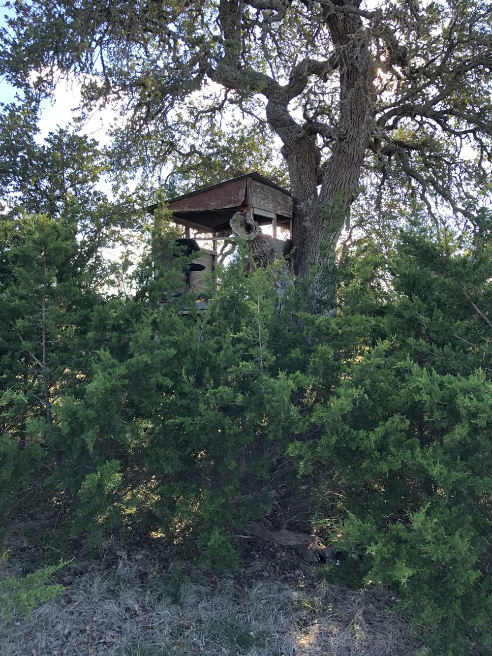 162 Addax Court Lampasas, TX 76550