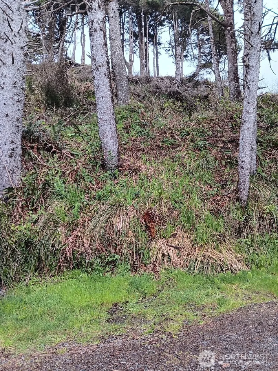 4726 Beach Lane Moclips, WA 98562