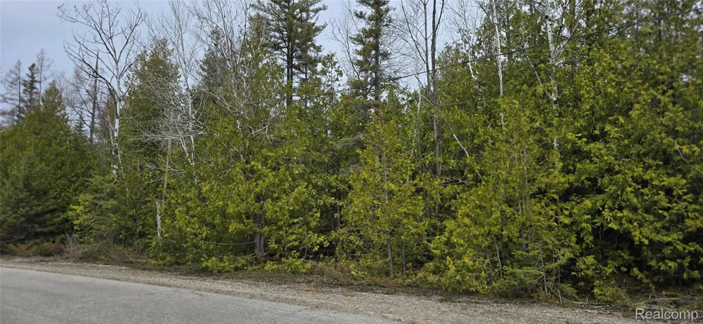 332 Balsam Drive Presque Isle Township, MI 49777