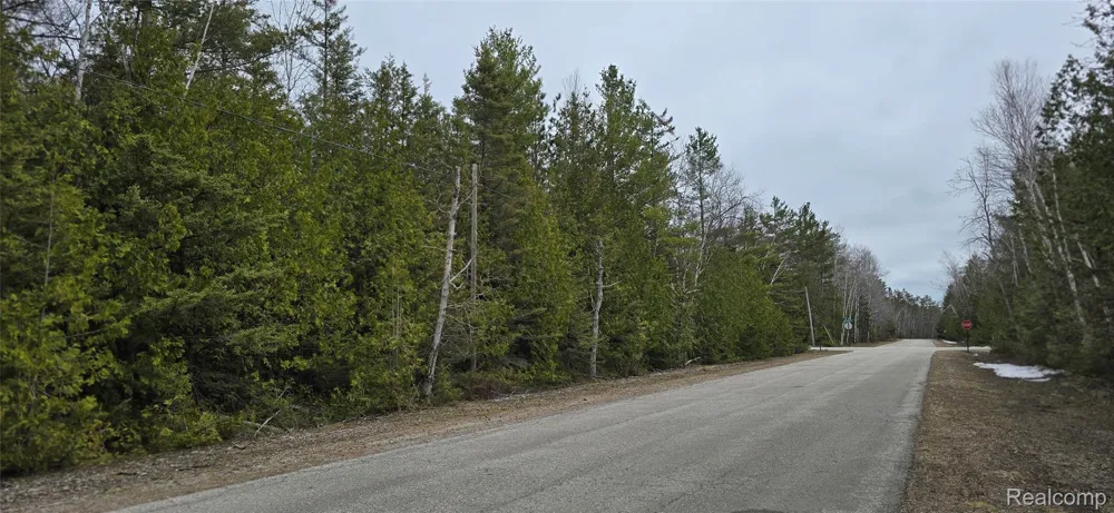 332 Balsam Drive Presque Isle Township, MI 49777