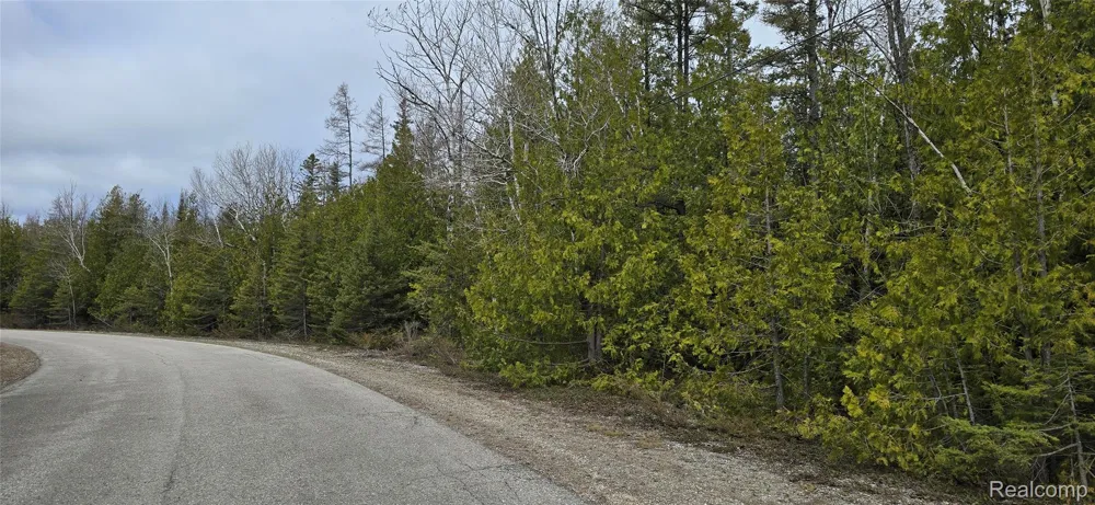 332 Balsam Drive Presque Isle Township, MI 49777