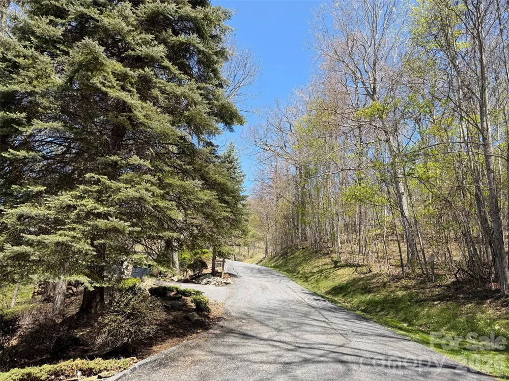 20 Cliff's Edge Drive Burnsville, NC 28714