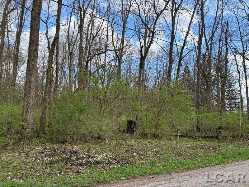 Black Highway Raisin Township, MI 49221