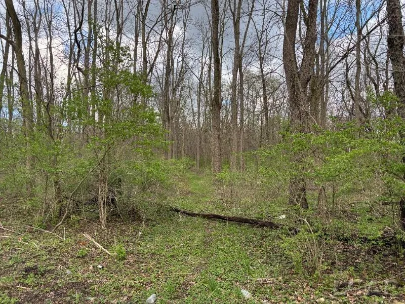Black Highway Raisin Township, MI 49221