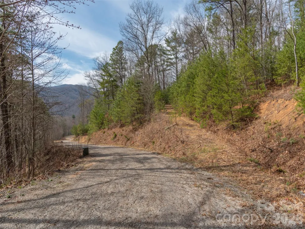 454 Dream Valley Drive Clyde, NC 28721