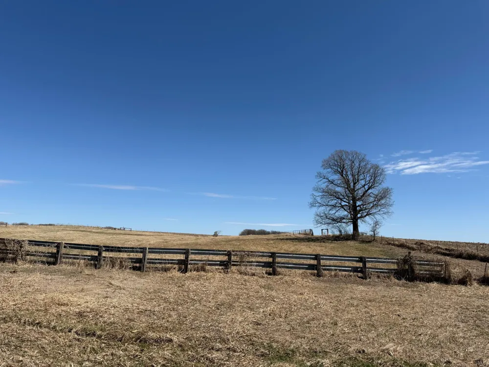 TBD 255th Street Fergus Falls, MN 56537