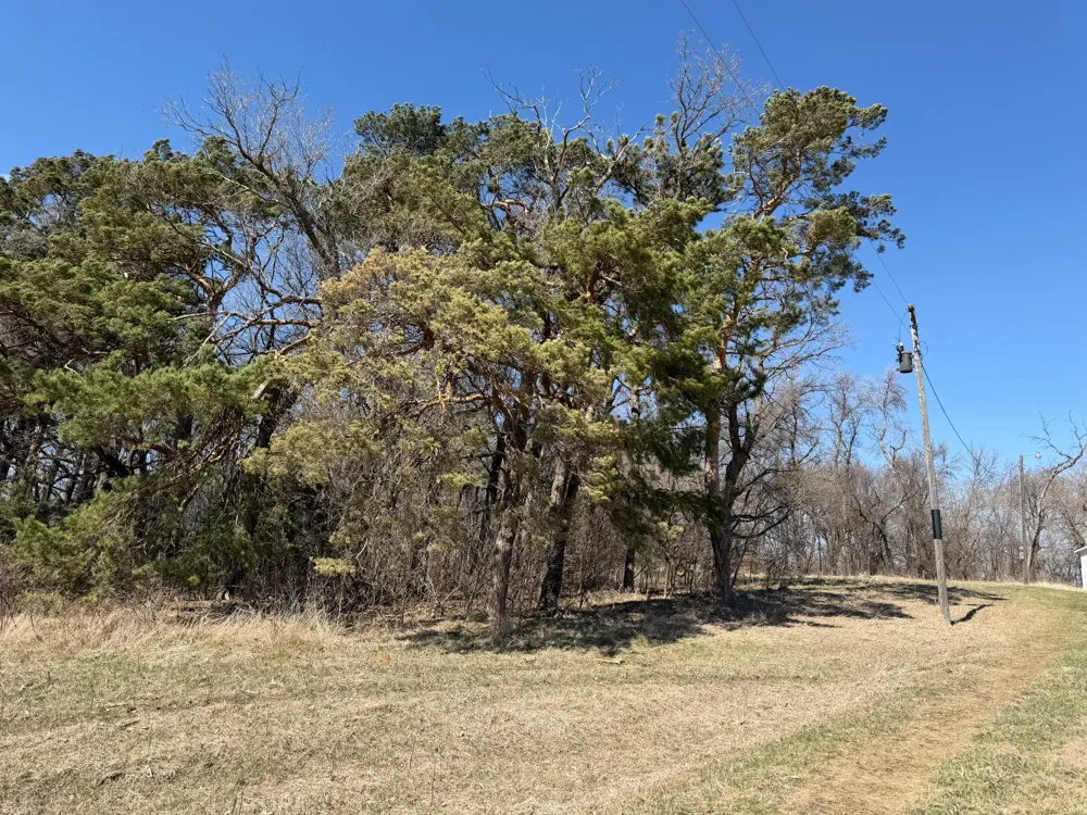 TBD 255th Street Fergus Falls, MN 56537