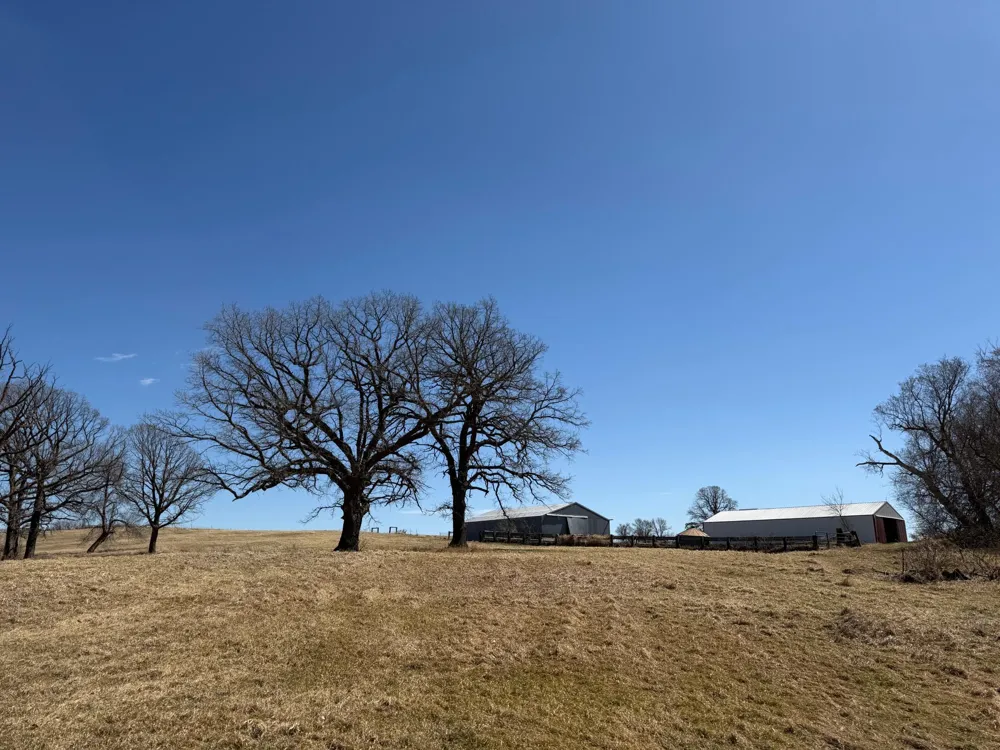 TBD 255th Street Fergus Falls, MN 56537