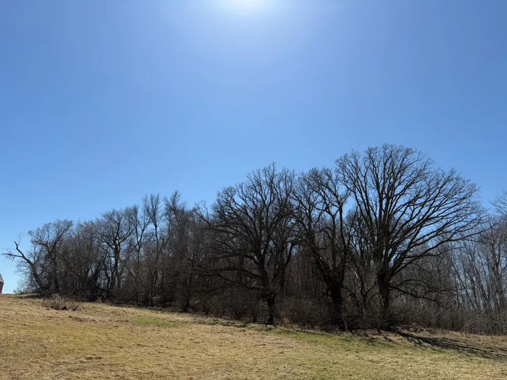 TBD 255th Street Fergus Falls, MN 56537