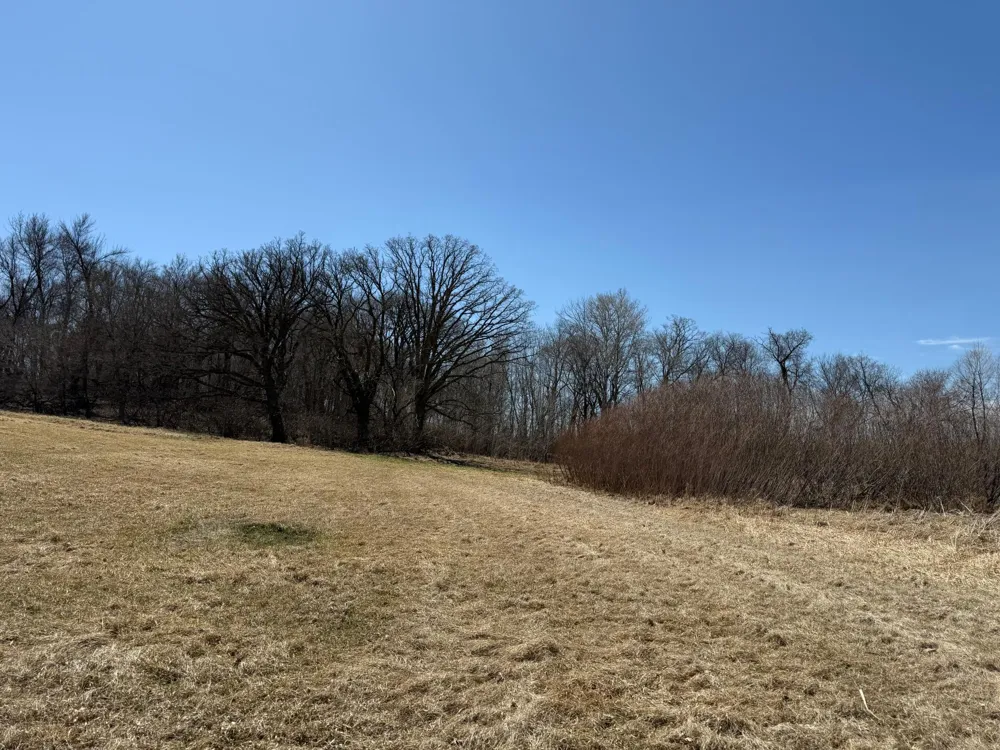 TBD 255th Street Fergus Falls, MN 56537