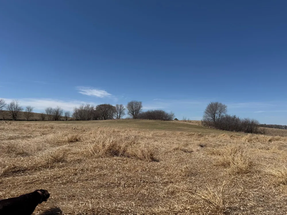 TBD 255th Street Fergus Falls, MN 56537