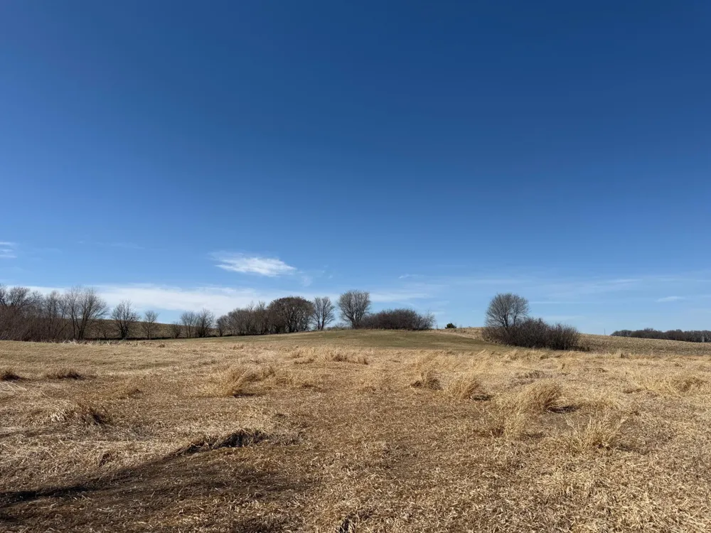 TBD 255th Street Fergus Falls, MN 56537