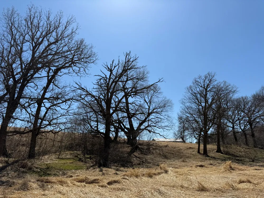 TBD 255th Street Fergus Falls, MN 56537