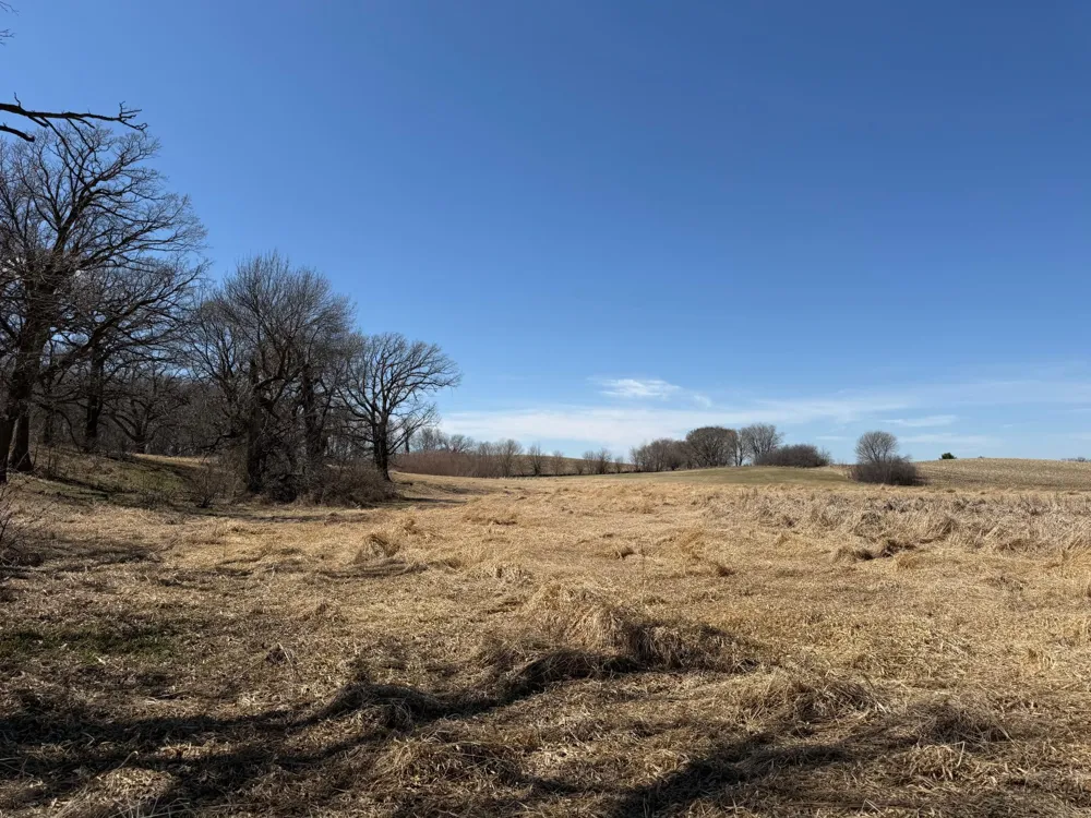 TBD 255th Street Fergus Falls, MN 56537