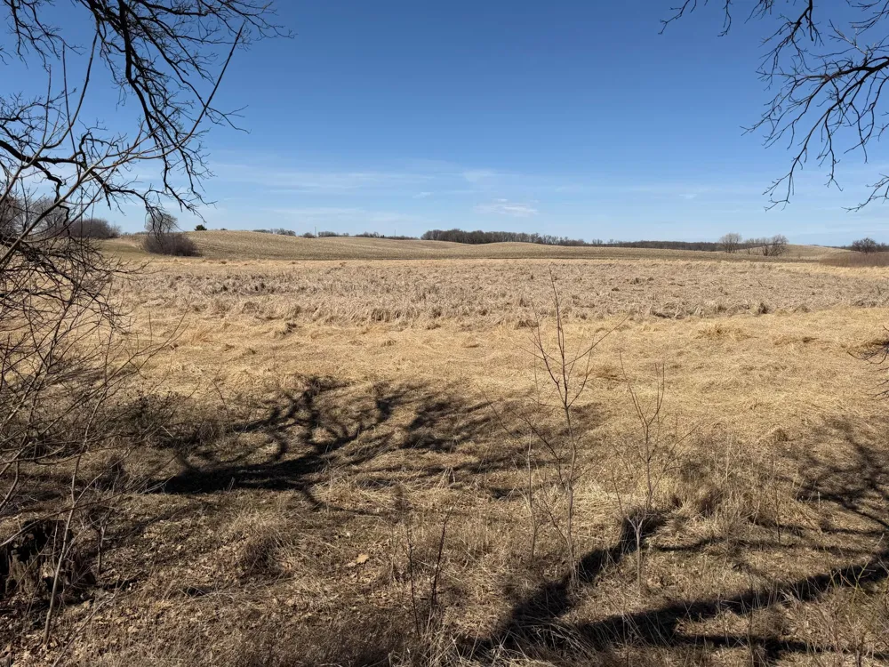 TBD 255th Street Fergus Falls, MN 56537