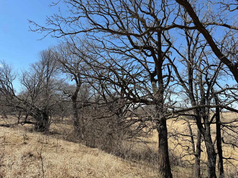 TBD 255th Street Fergus Falls, MN 56537