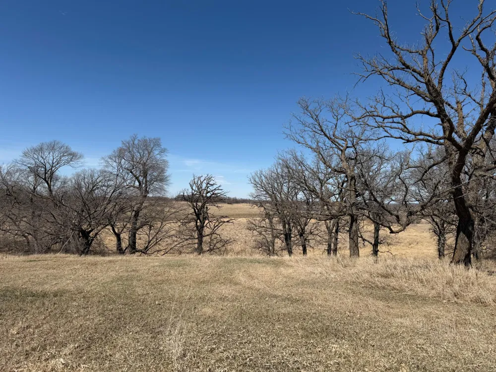 TBD 255th Street Fergus Falls, MN 56537