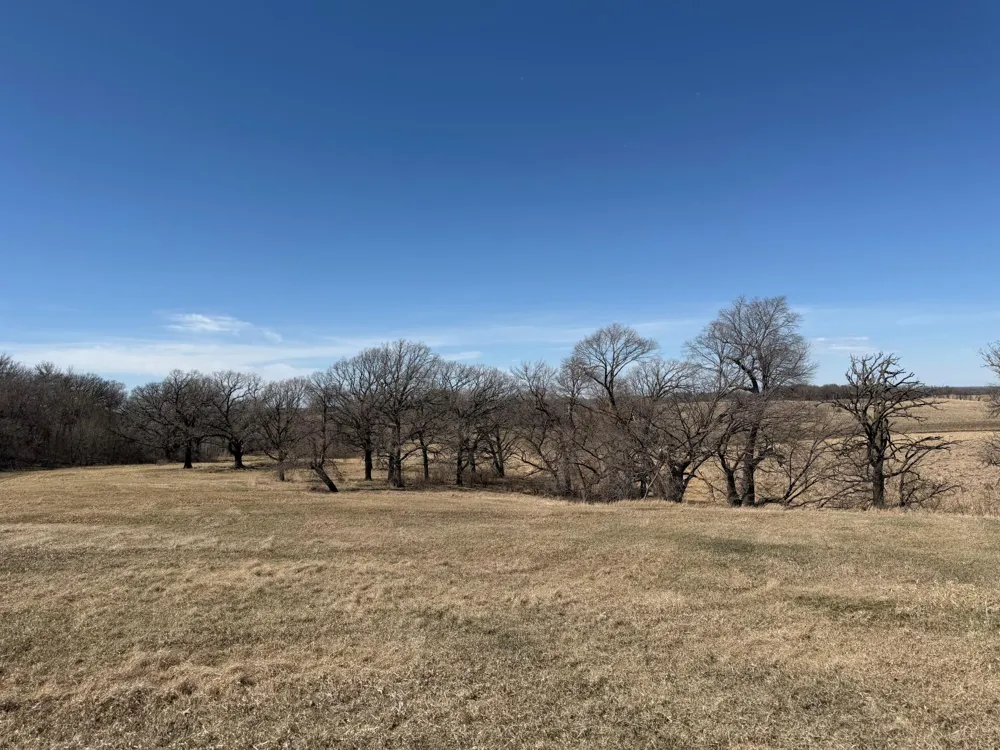 TBD 255th Street Fergus Falls, MN 56537